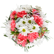 Radiating the gentle spirit of Chigwell's spring, this bouquet is artfully composed to evoke feelings of renewal, gratitude, and understated celebration. At its centre, bright white daisies with lime-green eyes stand joyfully among waves of plush coral-pink carnations, their ruffled textures creating a soft tapestry that recalls the blooming gardens and quiet landscapes of the IG7 community. Wisps of baby's breath sprinkle the arrangement with delicate, star-like blooms, diffusing an airy lightness throughout, while slender buds-perhaps Peruvian lilies with faint purple streaks-peek shyly from the greenery, hinting at new life. Matte eucalyptus leaves and deeper green foliage provide a cool foundation and highlight the intricate detailing that local Chigwell florists take pride in. Arranged over a pure white background, each flower and leaf is granted its own space to shine, their colours fresh and inviting. Whether chosen for a birthday breakfast, a springtime dinner near Hainault Forest, or as a thoughtful delivery for someone in need of a smile, this bouquet delights with its serene beauty and sense of crafted harmony. The overall impression is one of balanced exuberance-a testament to how Chigwell's florists capture life's brightest moments in living colour.